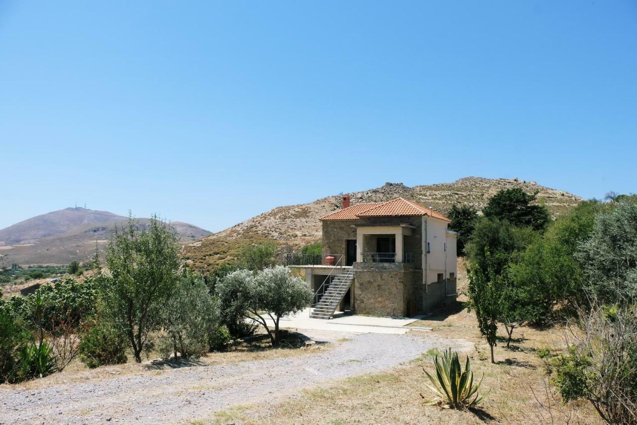 Stone House Of Panos Βίλα Kornos Εξωτερικό φωτογραφία