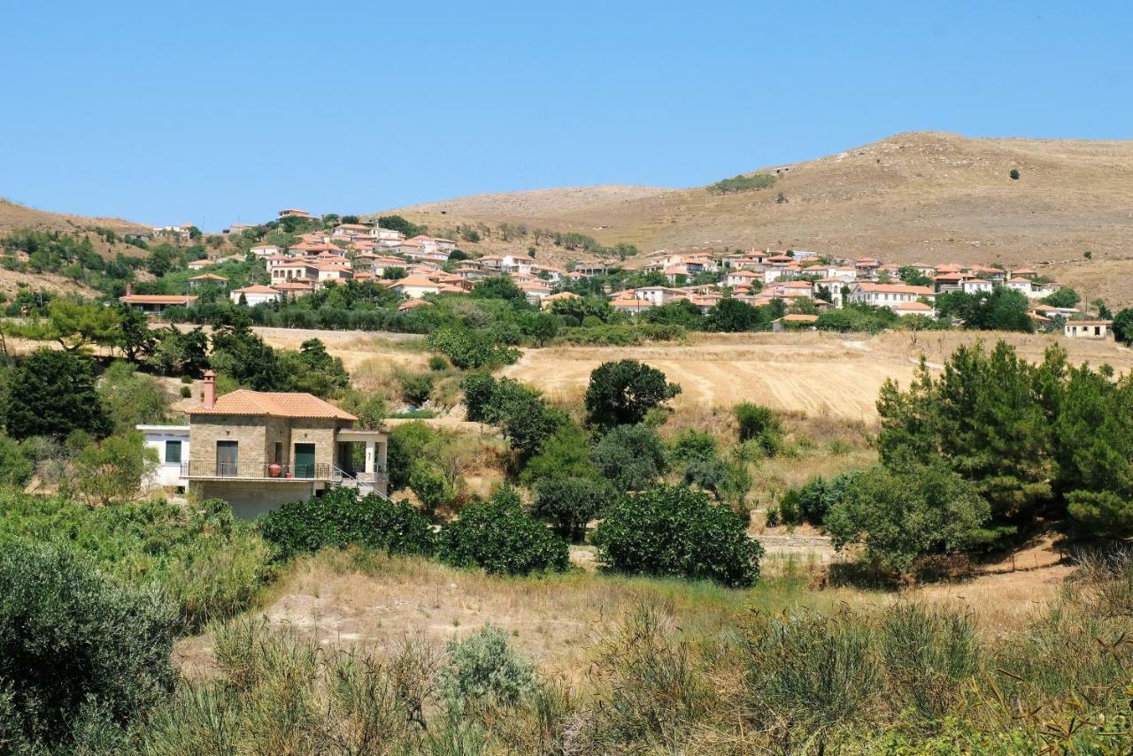Stone House Of Panos Βίλα Kornos Εξωτερικό φωτογραφία