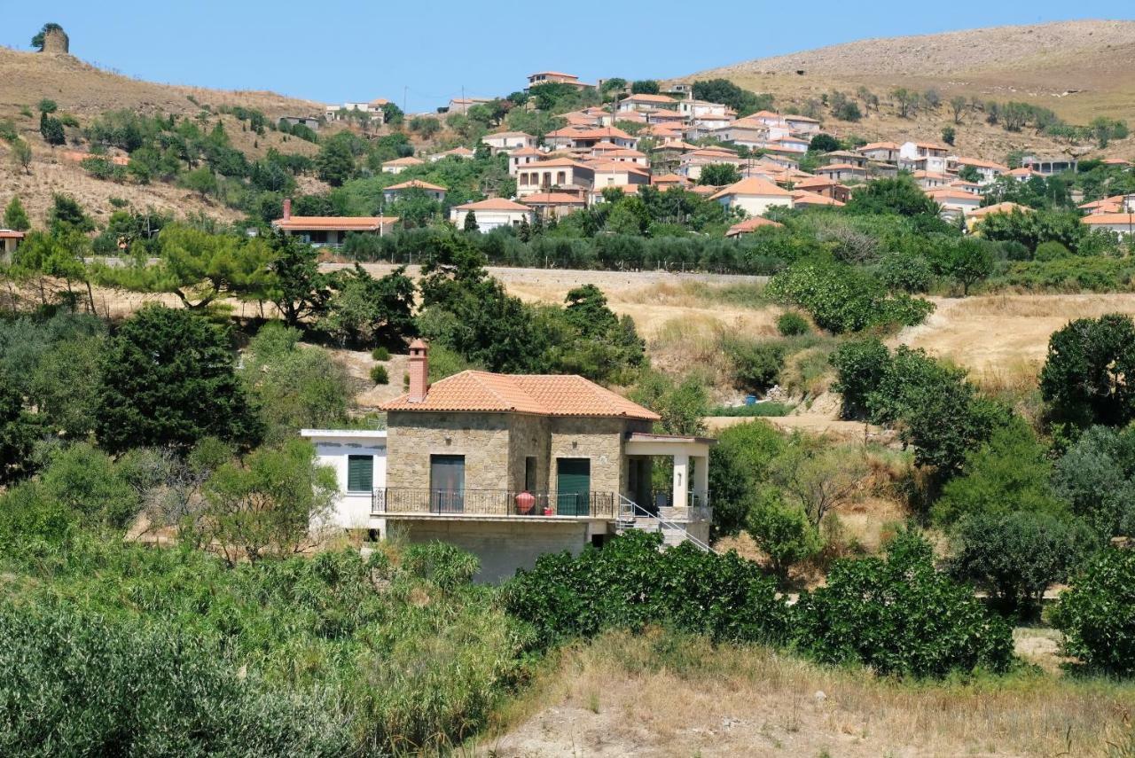 Stone House Of Panos Βίλα Kornos Εξωτερικό φωτογραφία